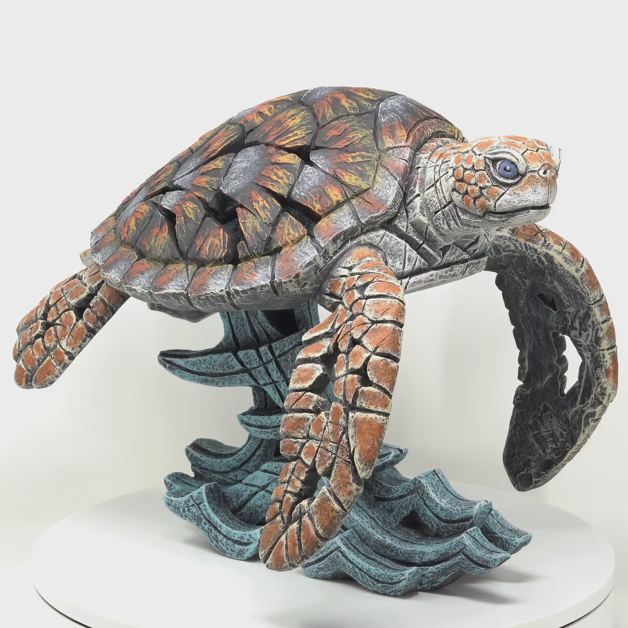 Edge Sculpture Sea Turtle by Matt Buckley – Artworx Gallery