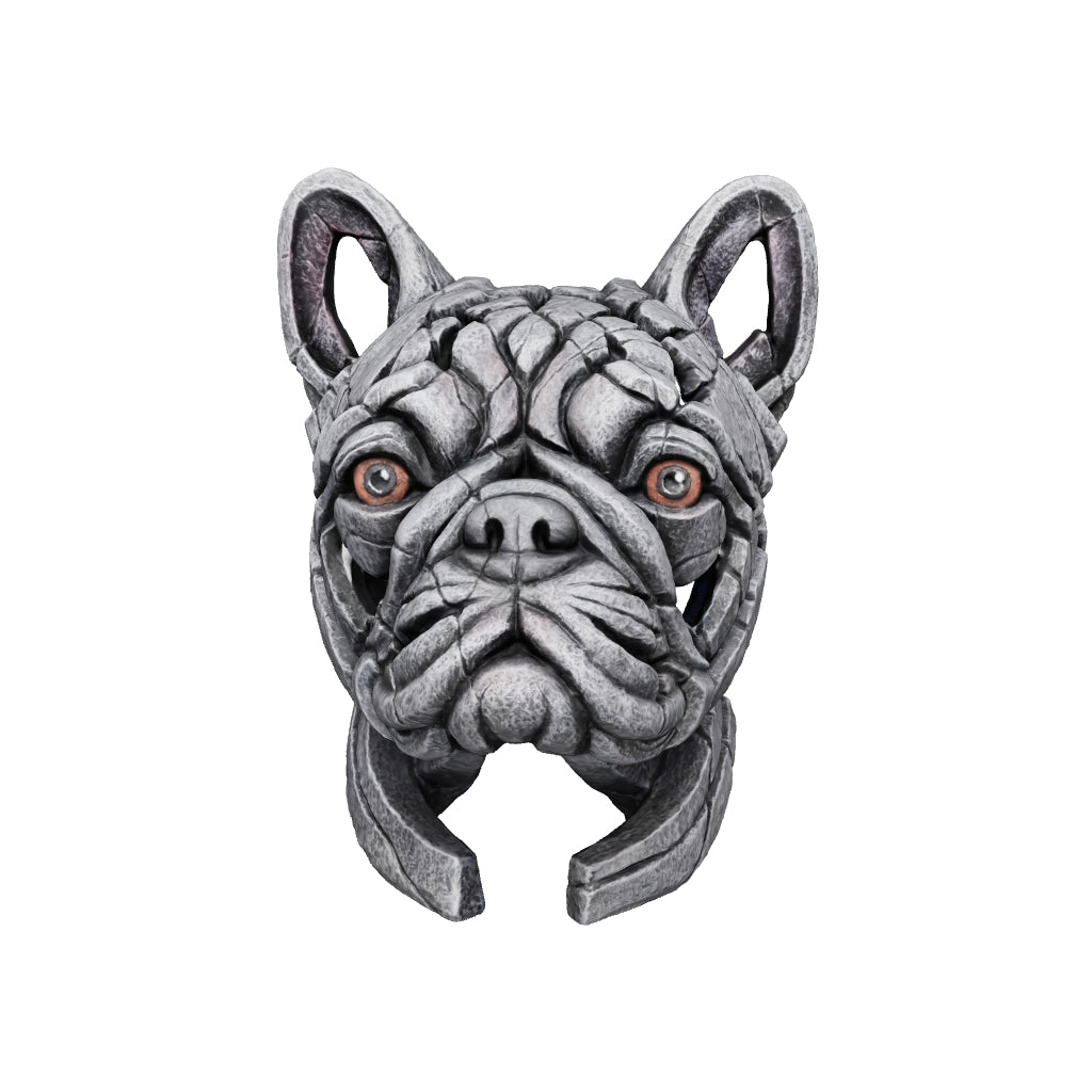 Blue silver hot sale french bulldog